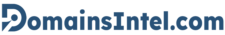 DomainsIntel Logo